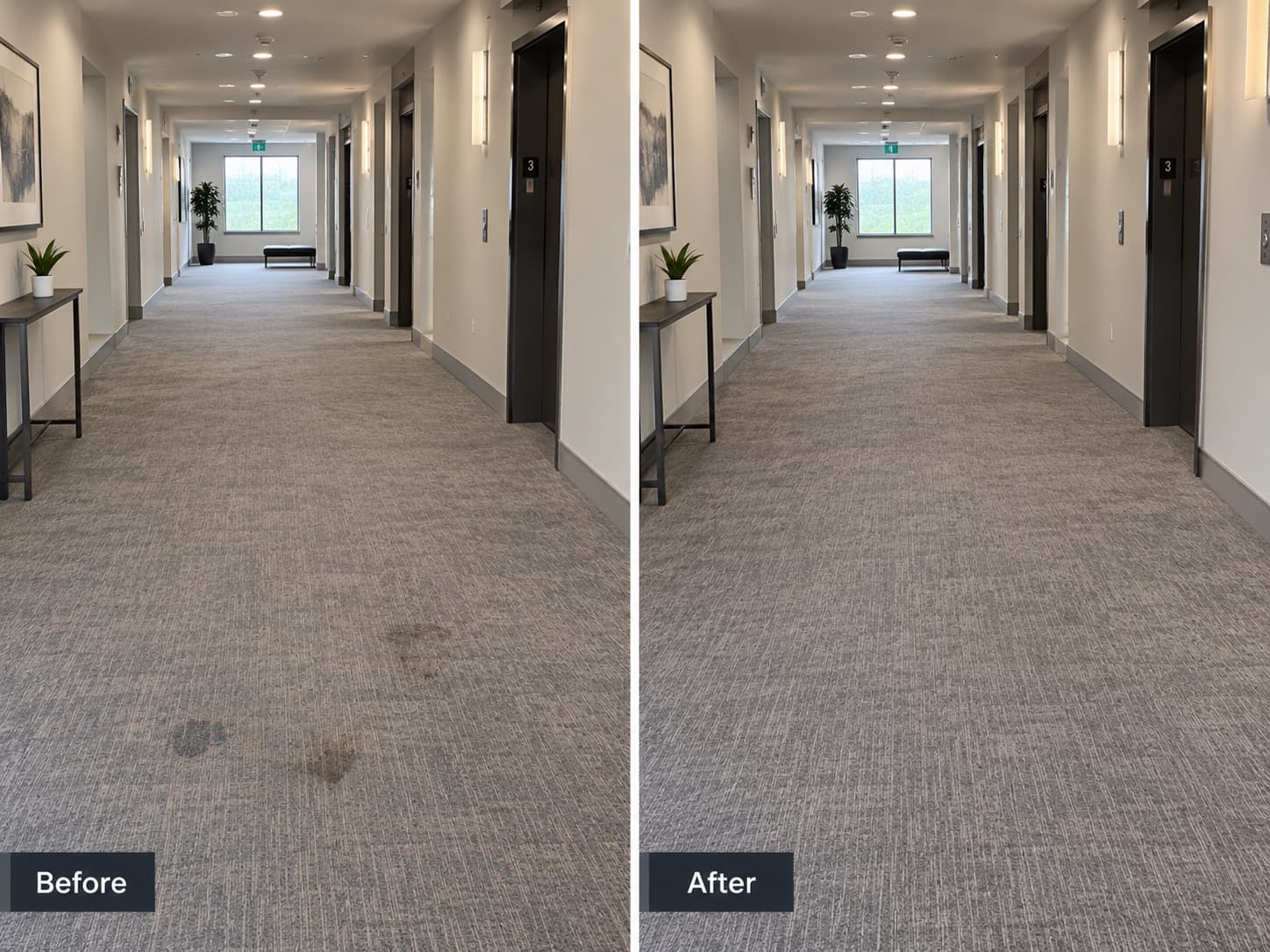 Before-and-after comparison of a carpeted commercial hallway